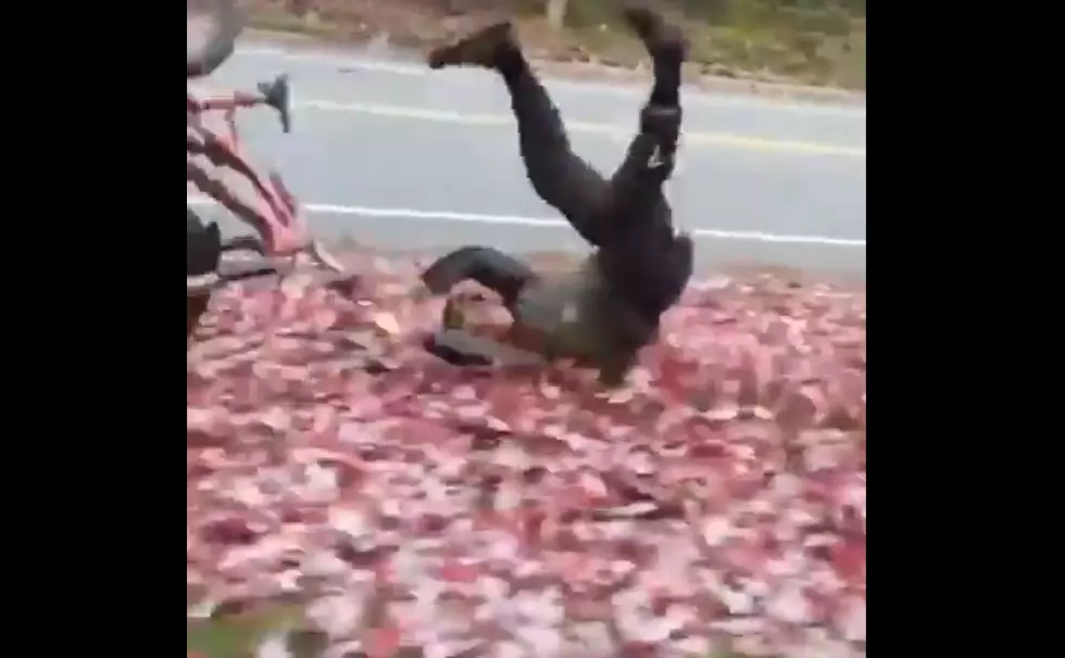 Don&#8217;t Mess with Leaves [VIDEO]