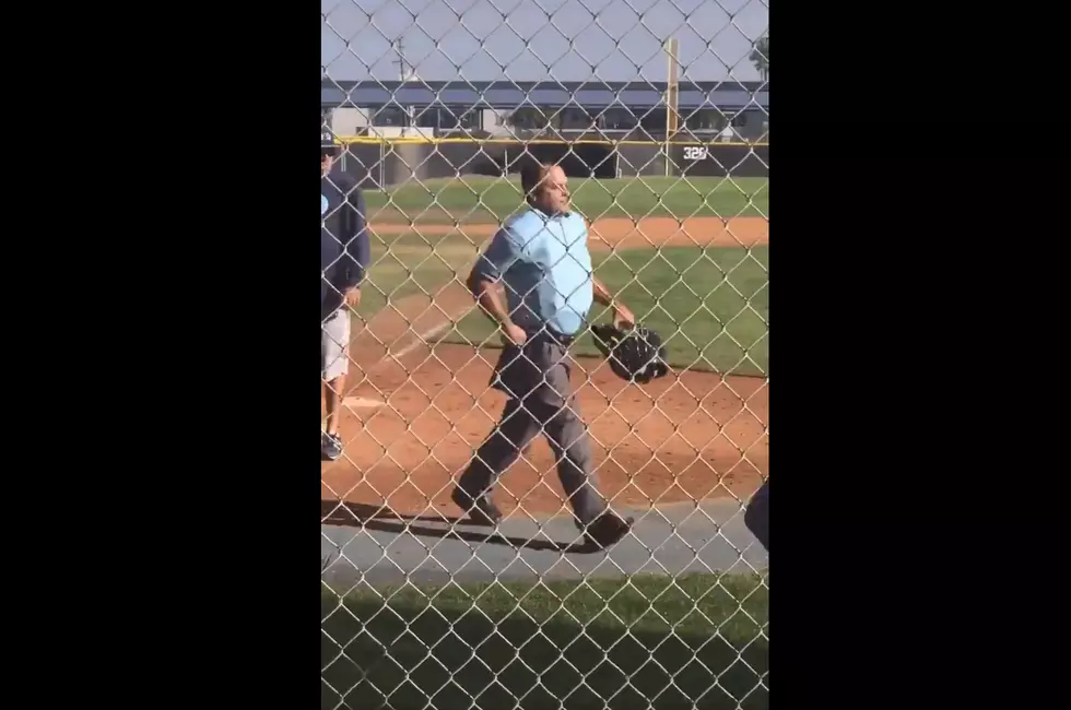 Baseball Ump Quits During Middle of Game (video)