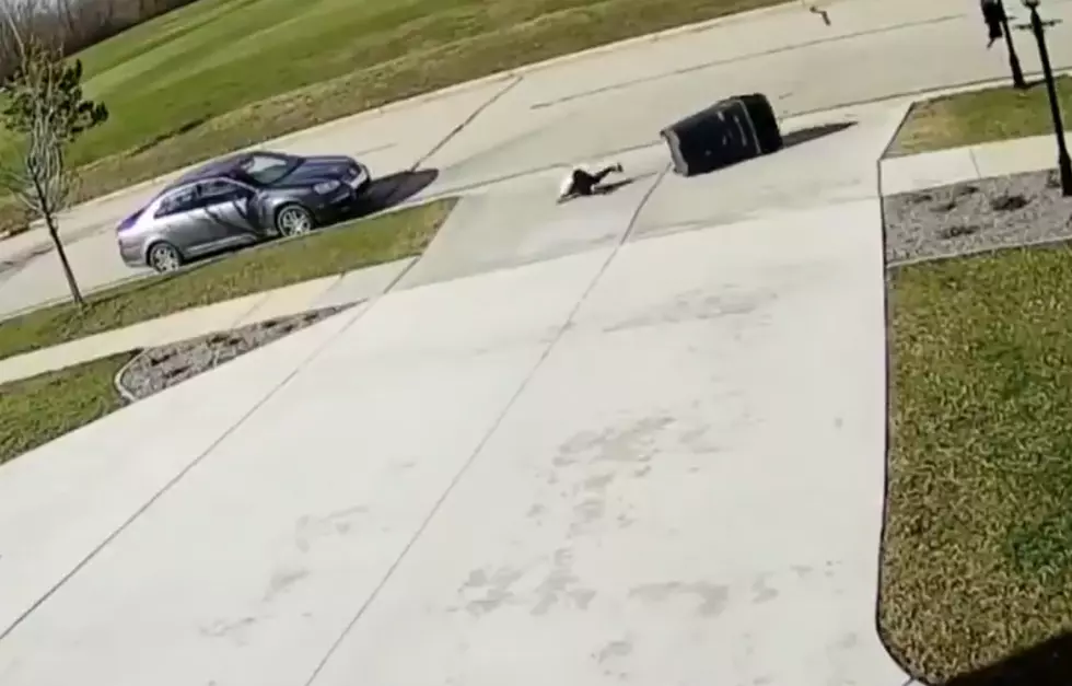 Kid Attempts to Take out Trash in Gusty Winds (VIDEO)