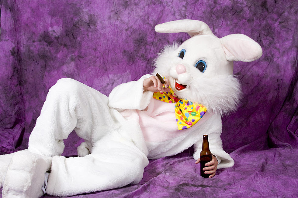 Man Riding a Motorcycle in Easter Bunny Costume Flees from Police