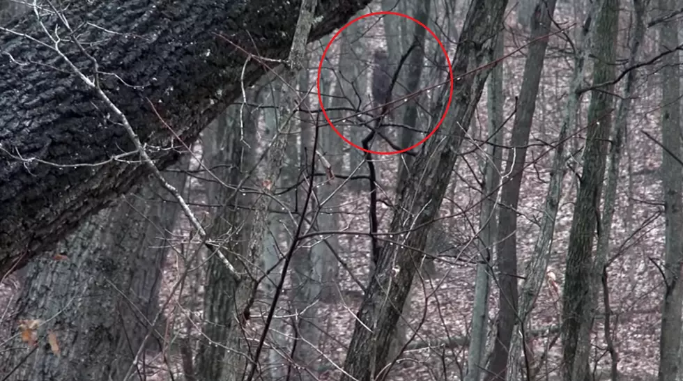 Bigfoot Spotted? This time in Ohio on HD Video Footage
