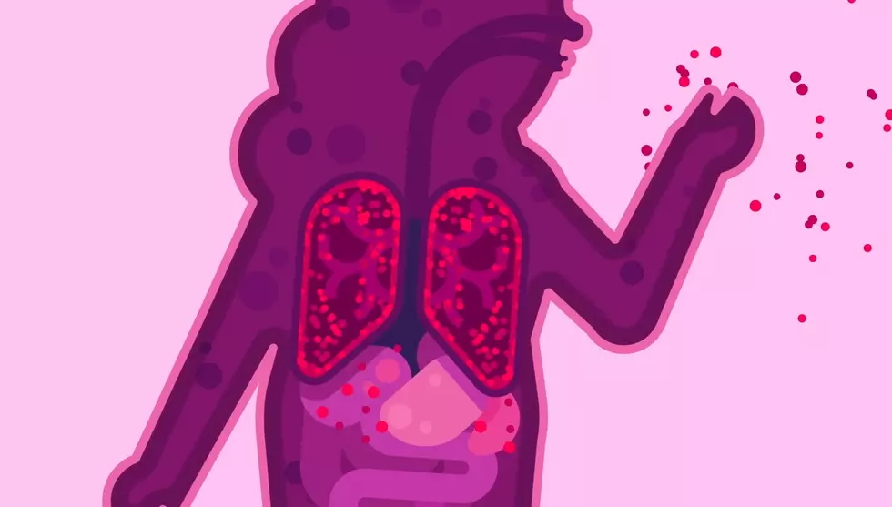 Animated Video of What Coronavirus Does to the Human Body