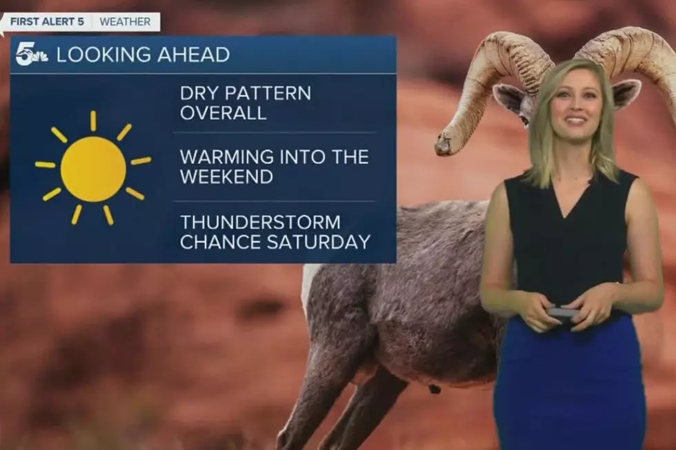 Mythological Creature Gives Weather Forecast