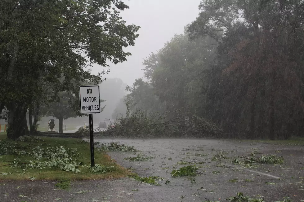 Storms Damage Trees, Spawn Possible Tornado [Video/Photos]