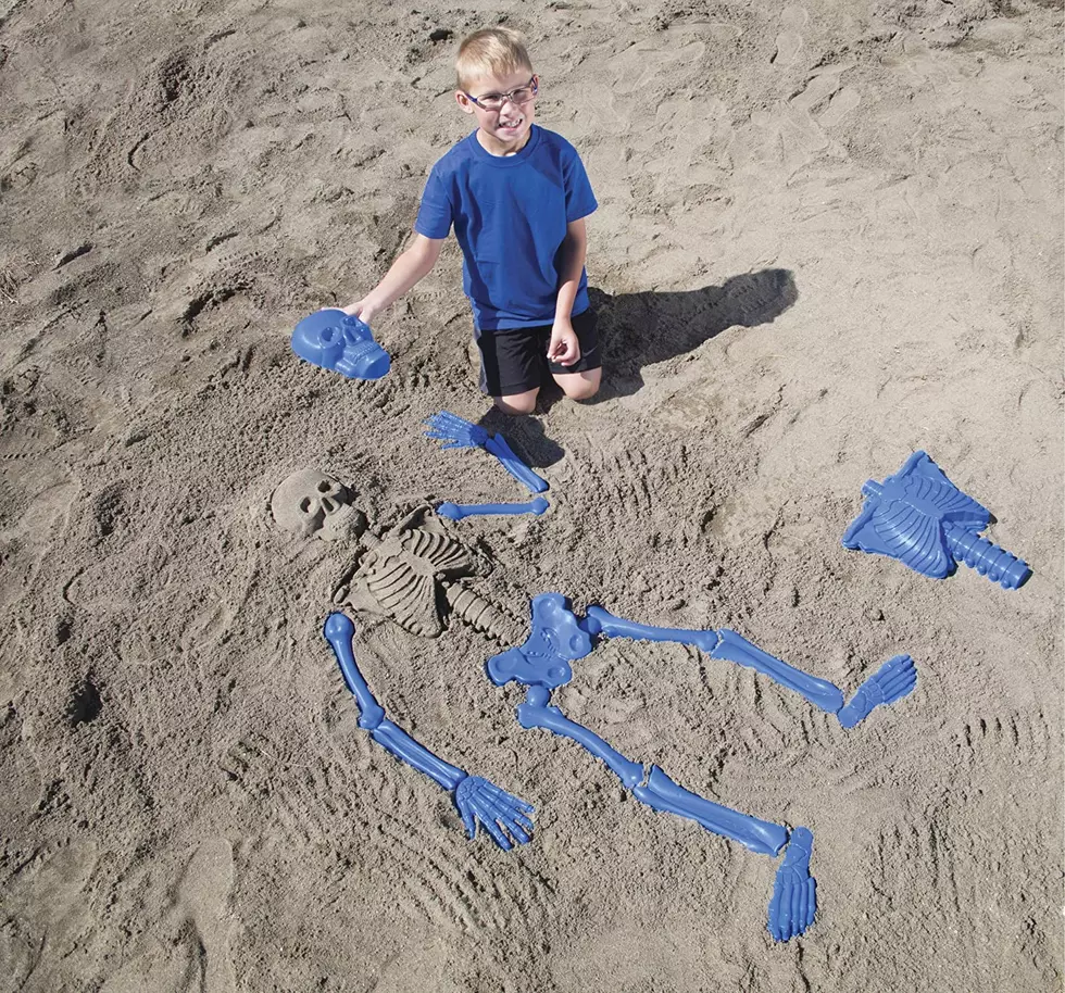 A Life-Sized Human Skeleton Sand Mold Kit