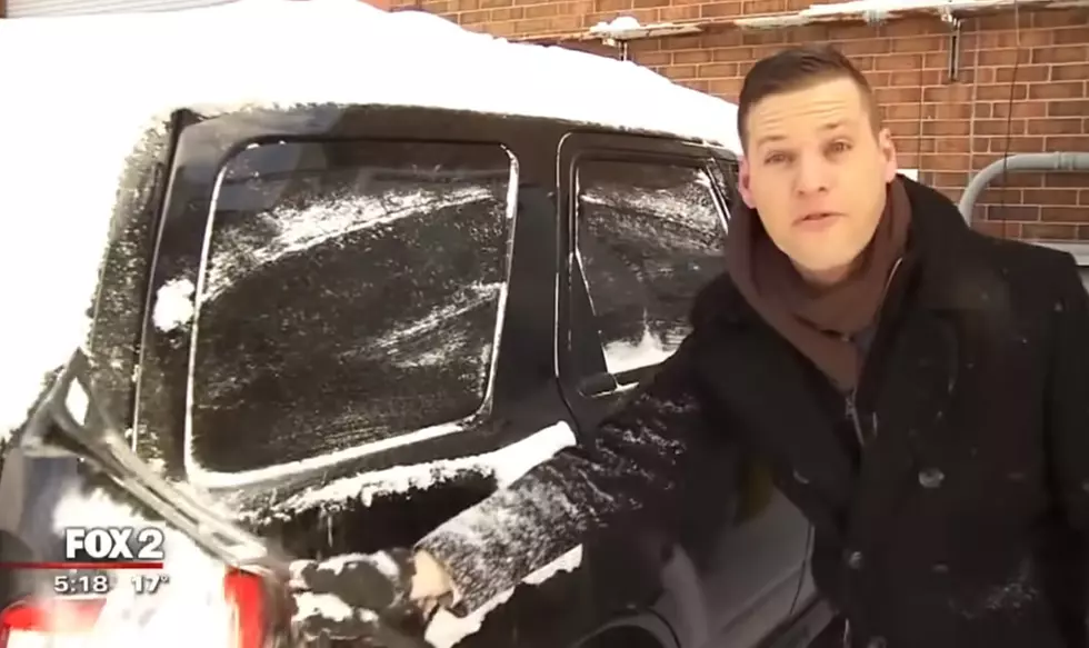 Sarcastic Meteorologist Shows How to Remove Snow From Vehicle (Video)
