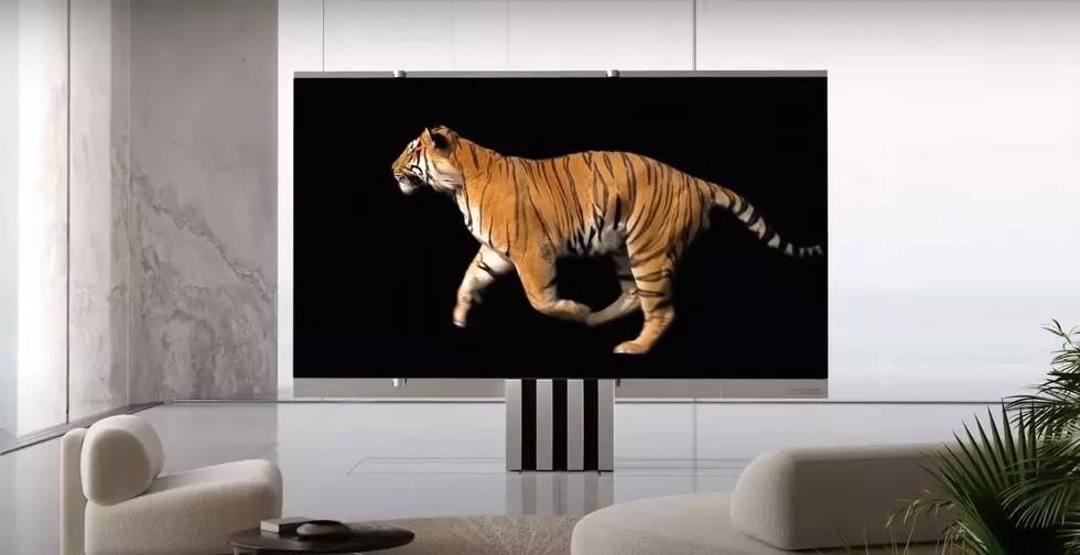 World’s First FOLDABLE TV
