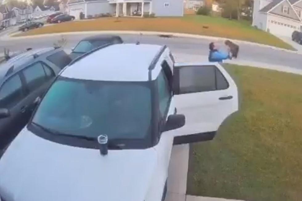 Rabid Bobcat Attacks Man’s Wife, He Picks it up and Hurls it (VIDEO)