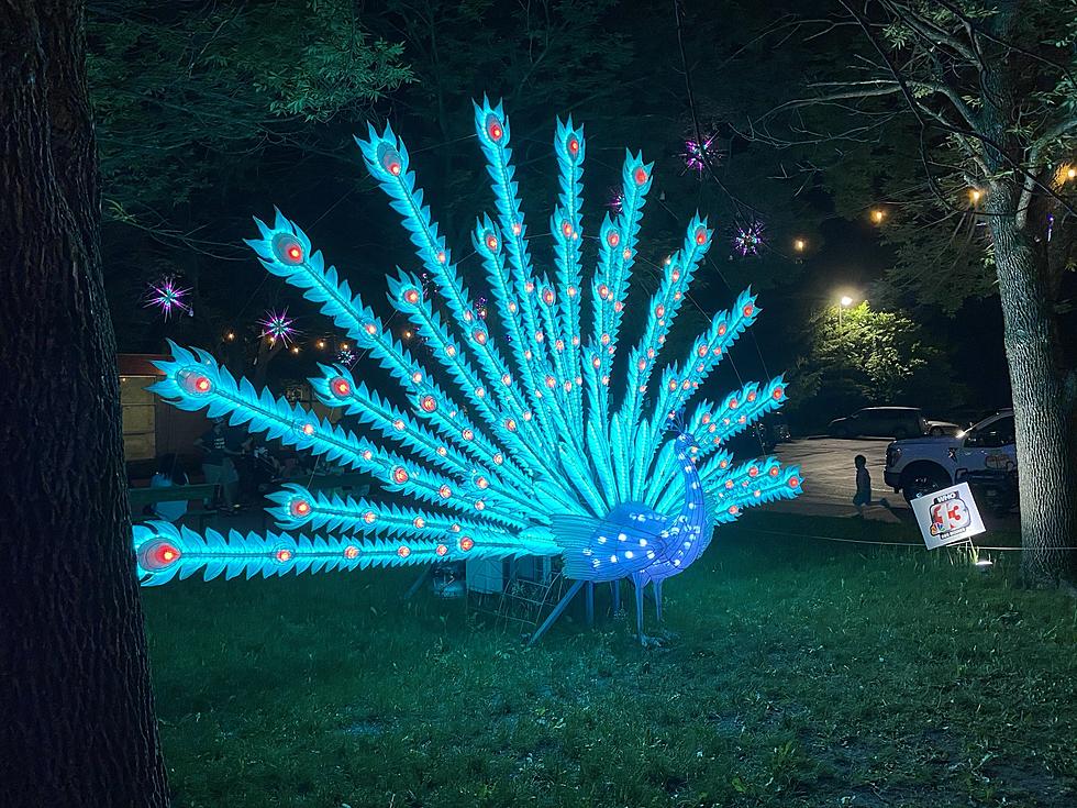 Des Moines’ Blank Park Zoo’s Wild Lights Festival Ends Memorial Day