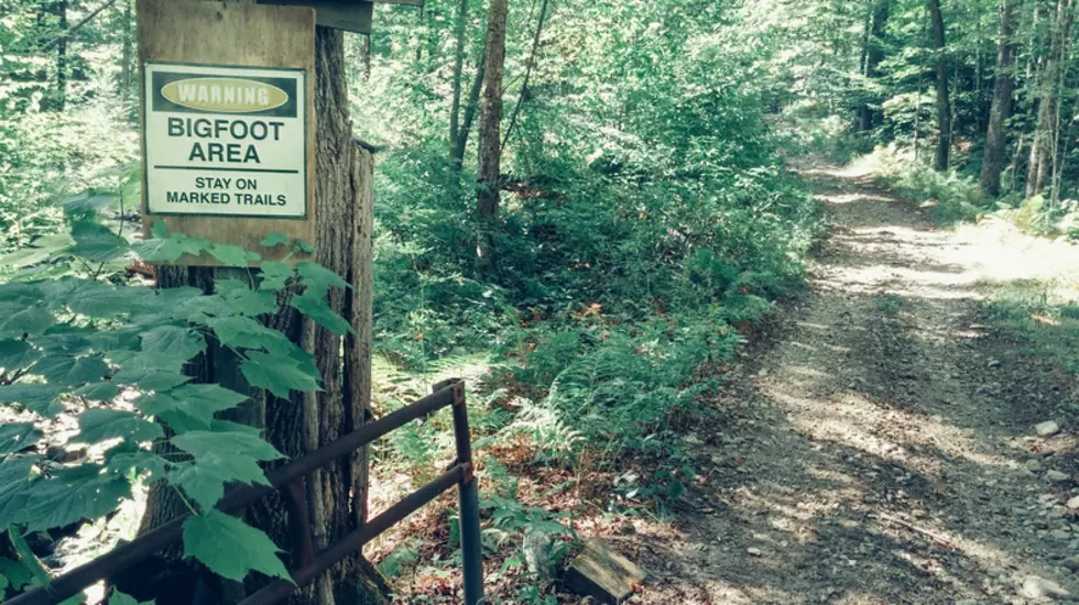 Hiker Shares Footage of What He Believes Was Bigfoot