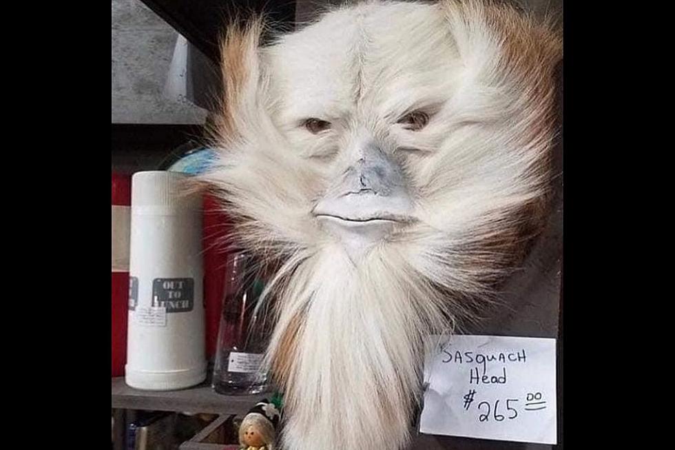 Taxidermists Are Turning Deer Butts into Sasquatch Heads