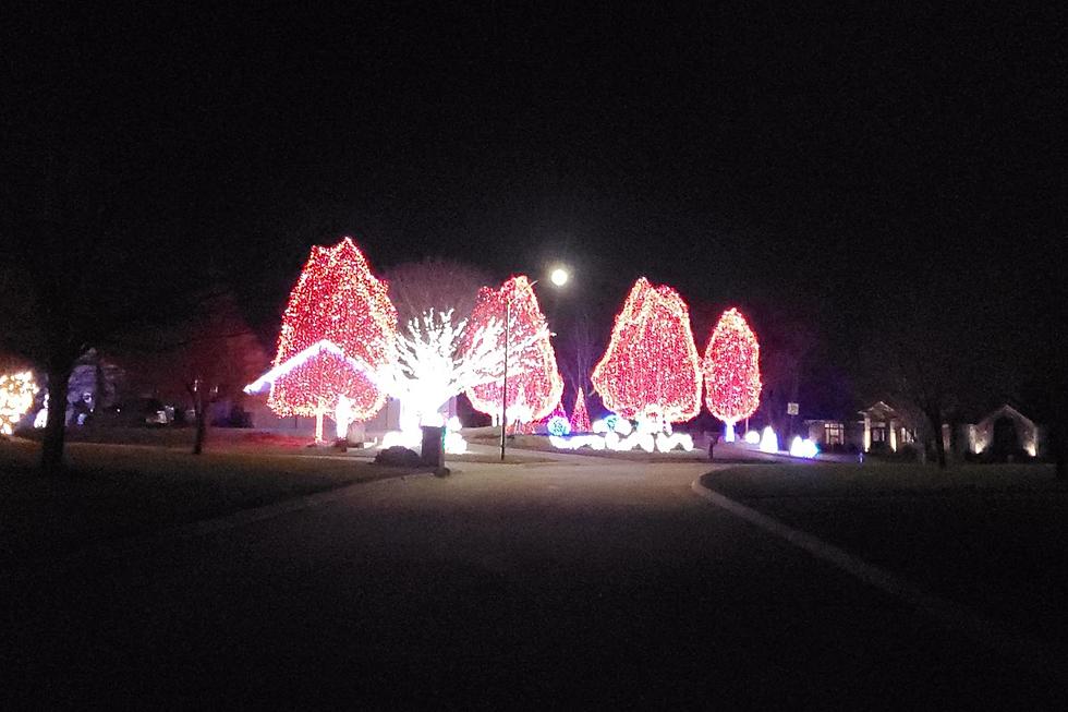 Is This the Brightest Light Display in Cedar Falls?