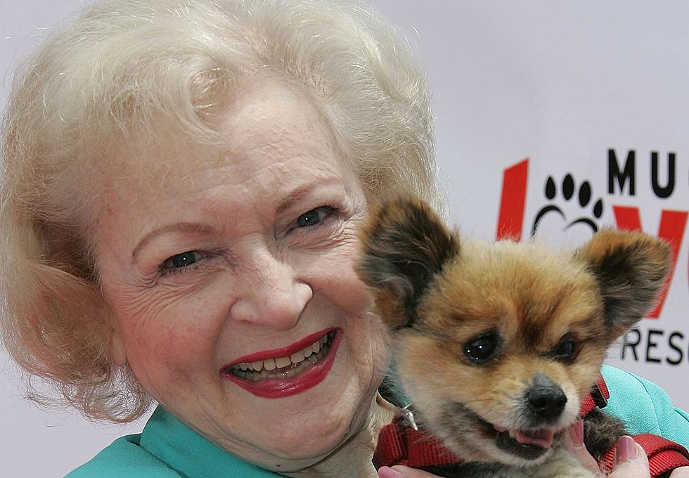 Over $30,000 Donated to Eastern Iowa Animal Shelters on Betty White’s Birthday
