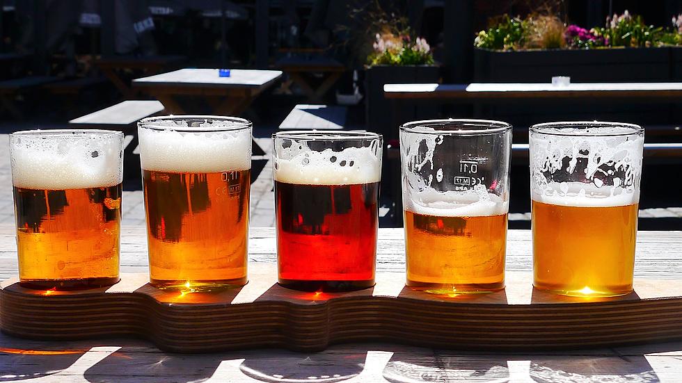 Places in Cedar Falls Where You Can Try New and Exciting Craft Beers