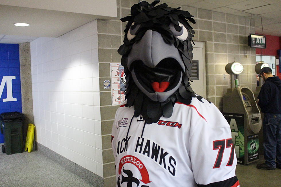 Black Hawks Fall in OT, Celebrate Tommy Hawks’ Birthday Tonight