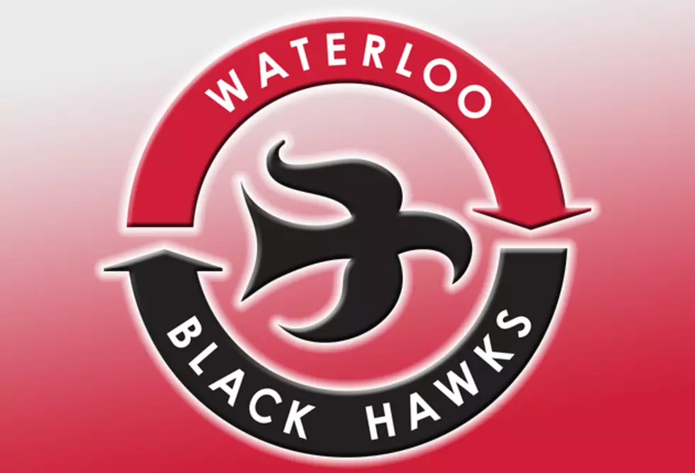 Ring In The New Year With The Waterloo Black Hawks