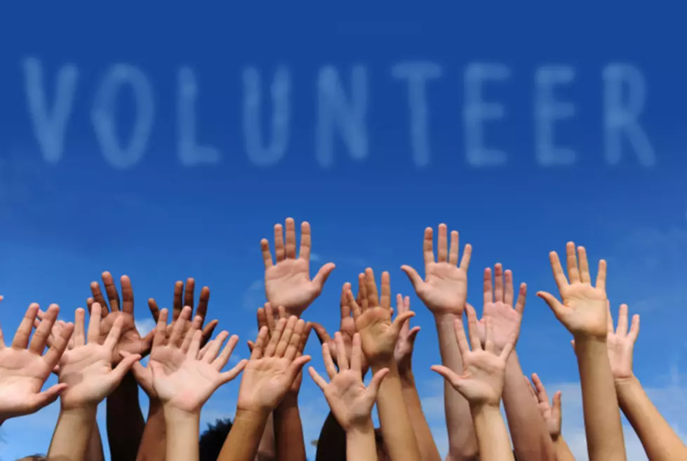 Make A Difference – Volunteers Needed In The Cedar Valley
