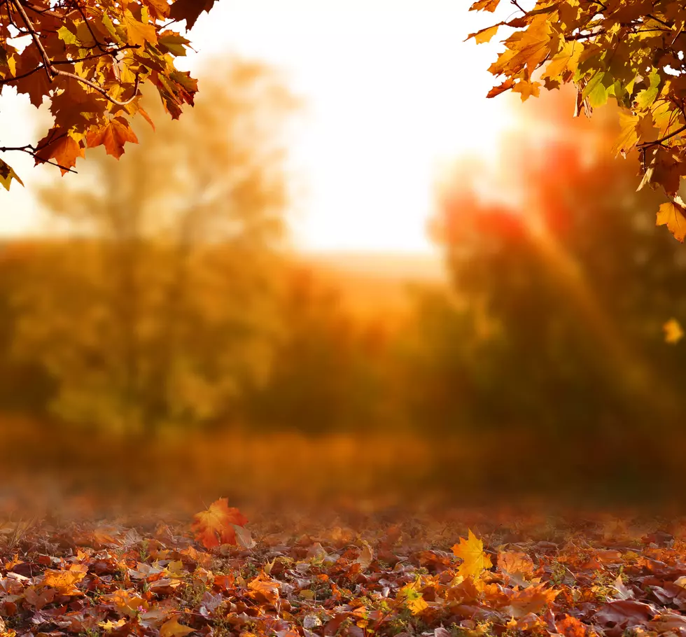 Here’s Why Fall Is America’s Favorite Season… Do You Agree?