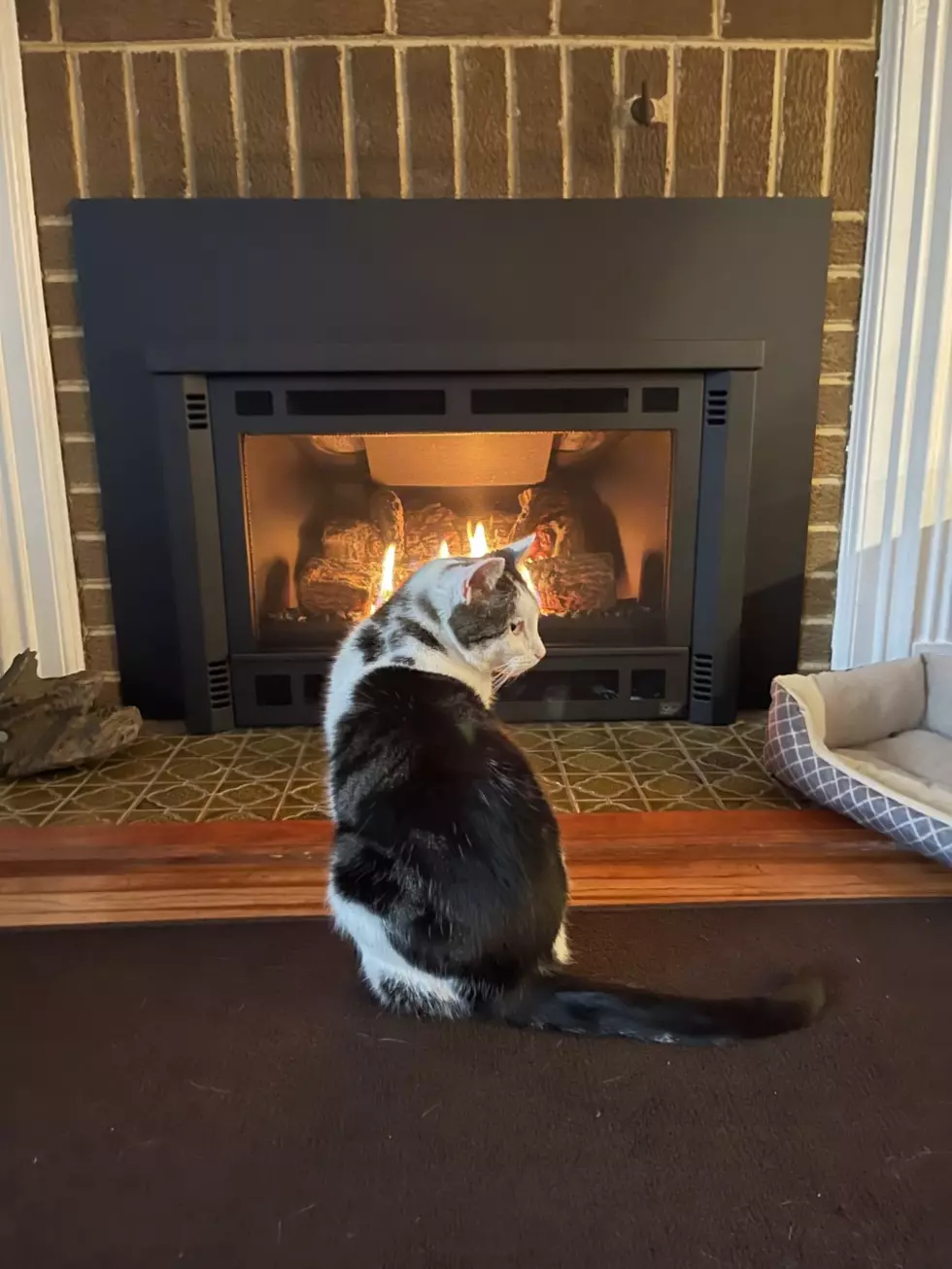 Johnny Marks – My Weekend in 5 Photos ‘New Fireplace’