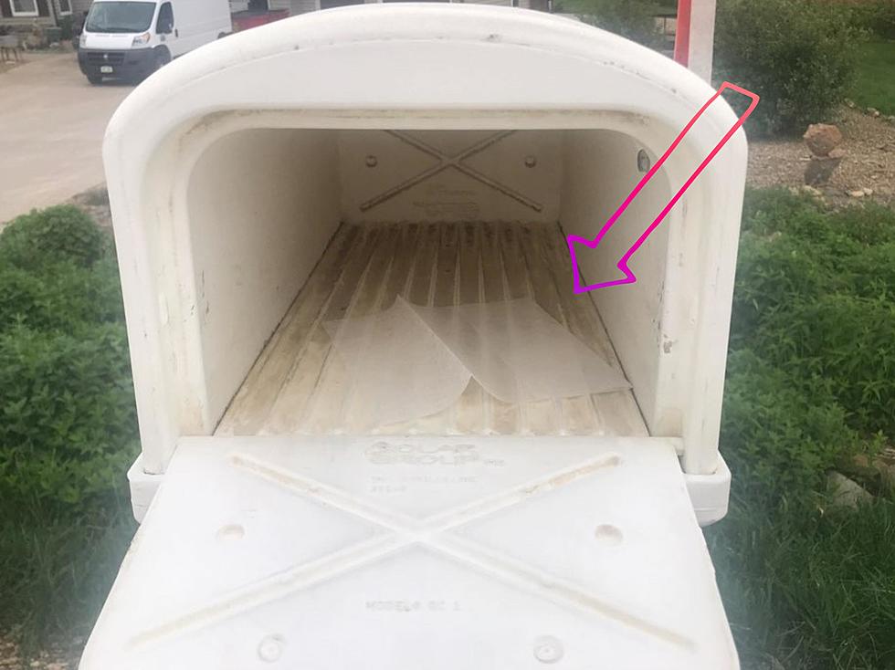  Dryer Sheet In Your Mailbox? Leave It In There