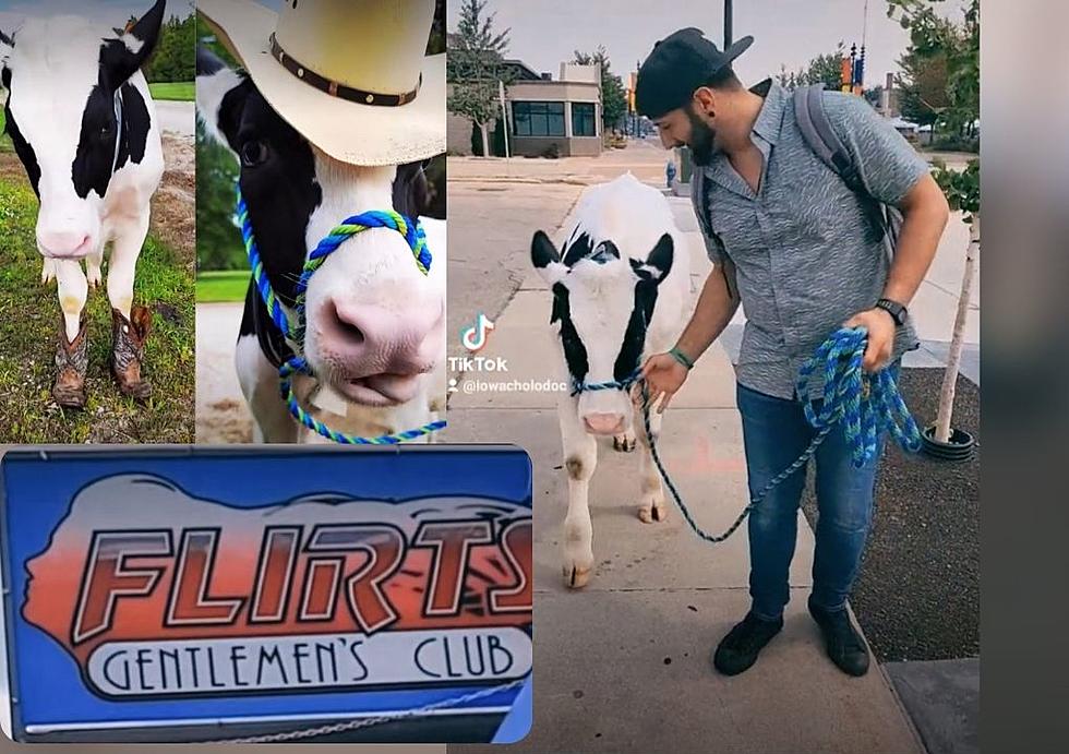 Jesup Man Takes Cow to Waterloo Strip Club