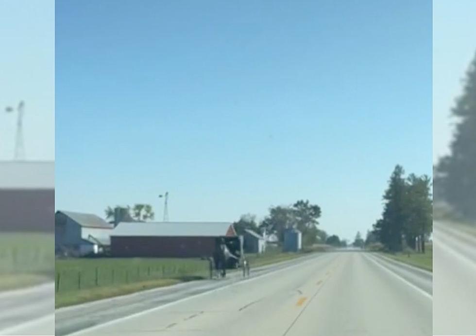 [Watch] Woman Captures A Typical Fall Sunday In Oelwein