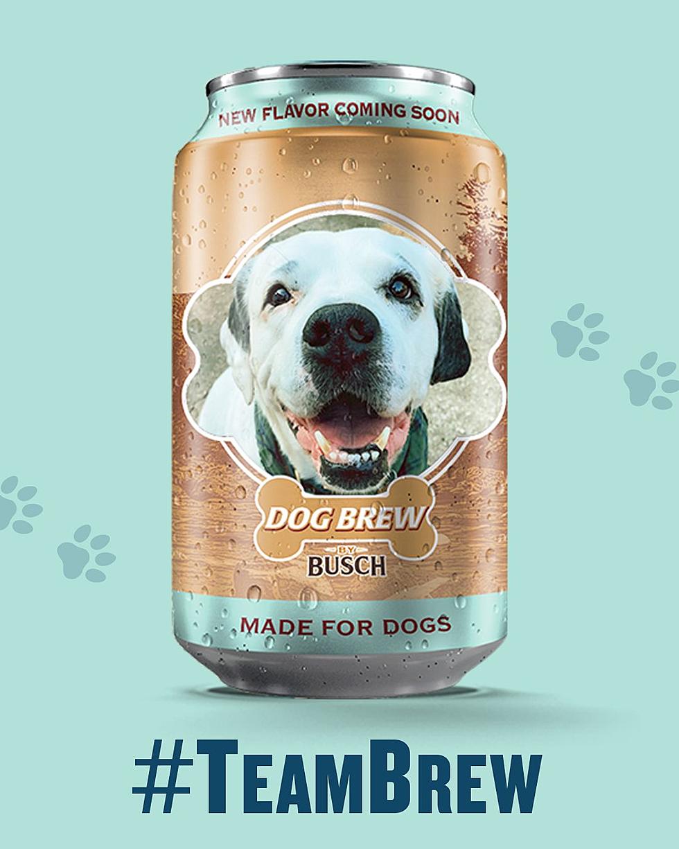 Iowa Dog Might Be The Face Of Iowa&#8217;s Favorite Beer