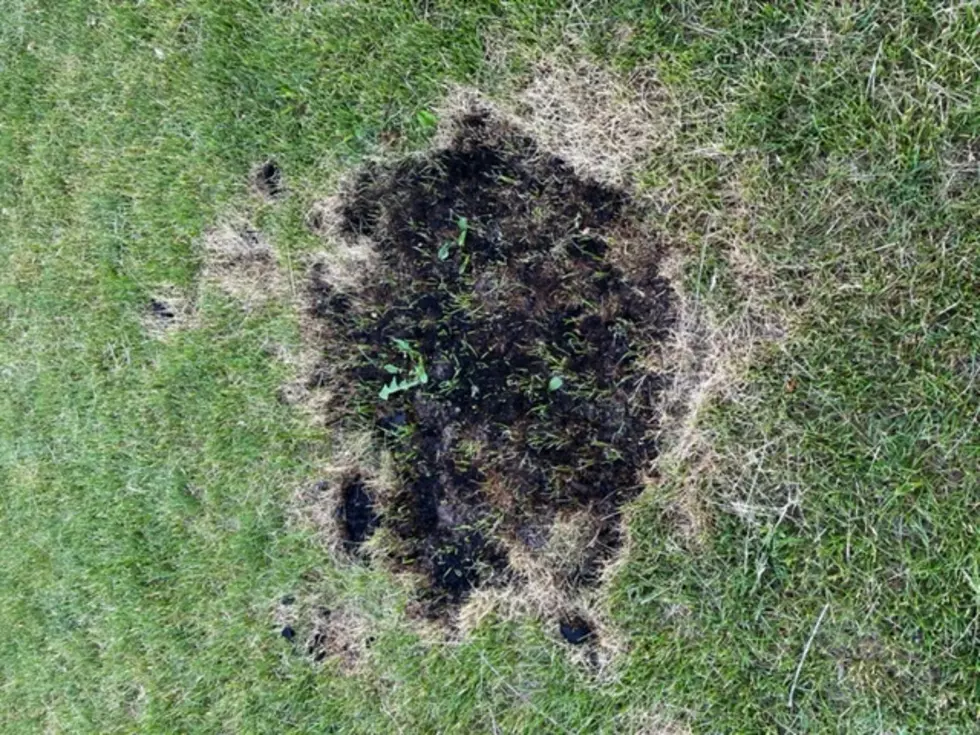 One Iowa Moron Set His Lawn On Fire [VIDEO]