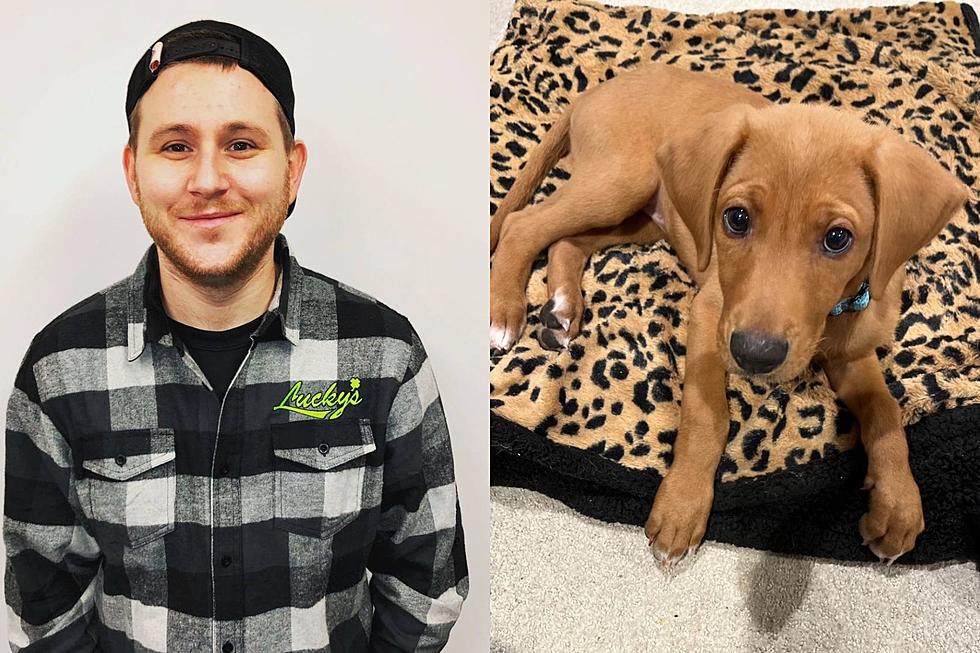Iowa Radio Show Host Gets Beat Up By His Own Dog [PHOTOS]