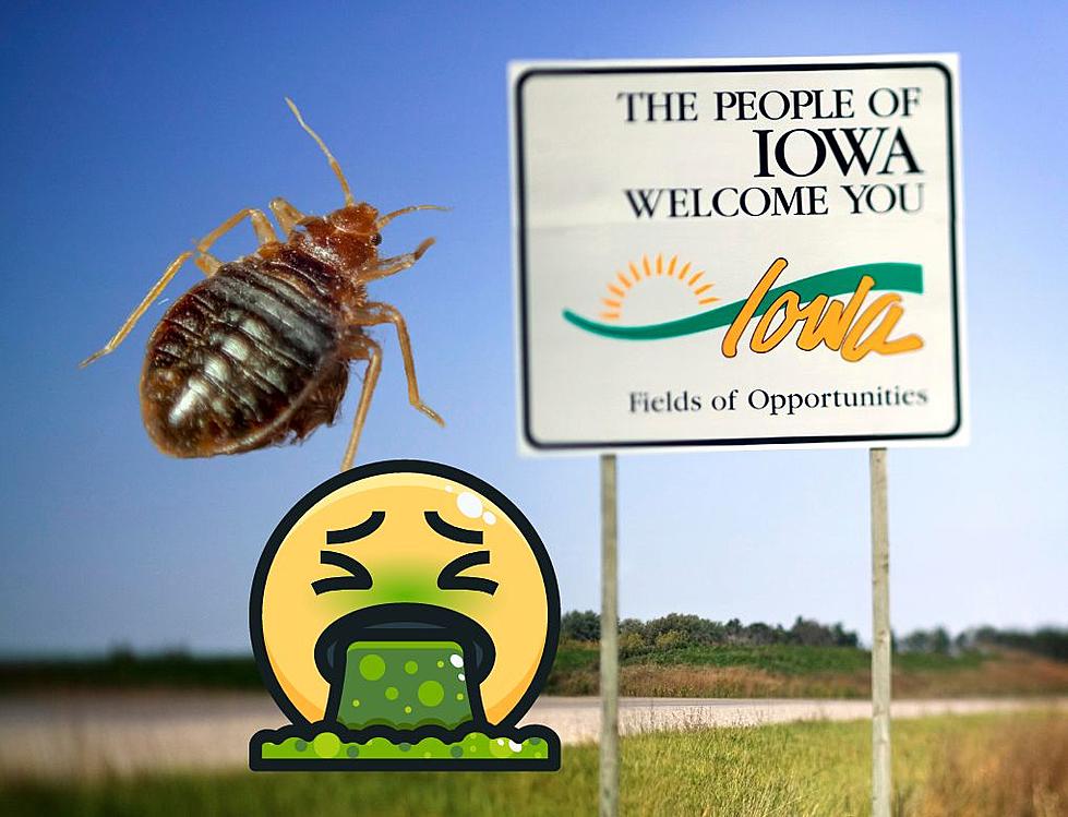Two Iowa Cities Rule in Gross Bed Bug Ranking