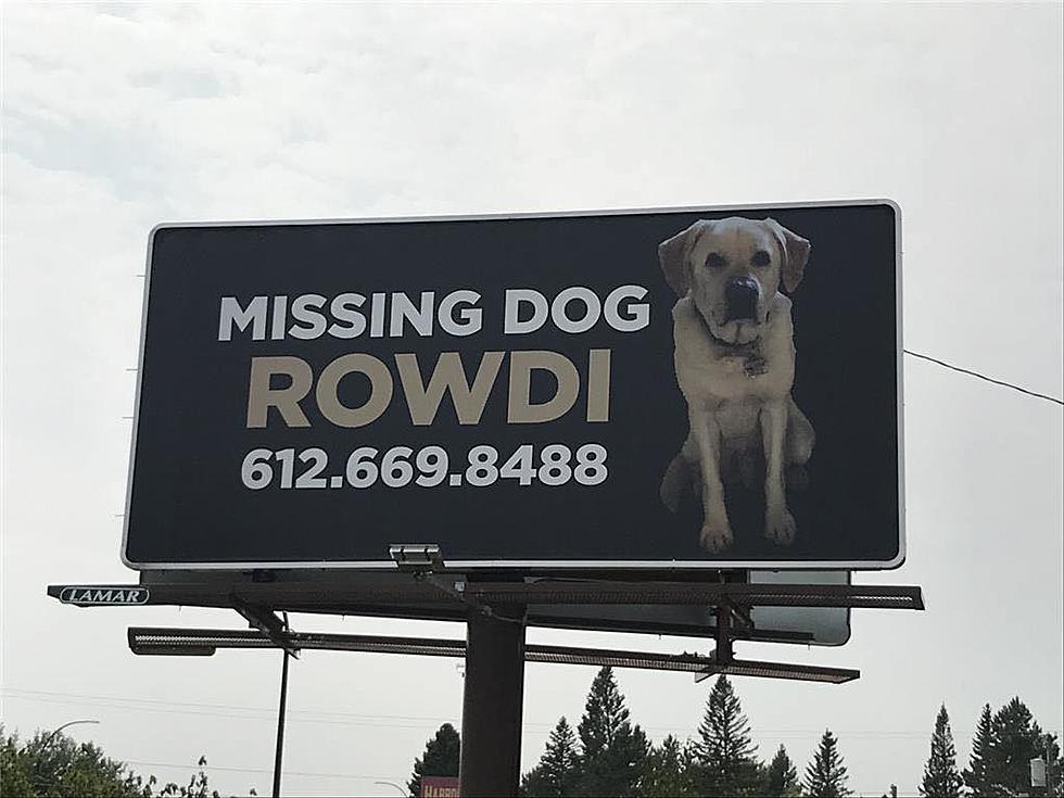 Minnesota Family Puts Up Billboard for Dog That’s Been Missing for 8 Months
