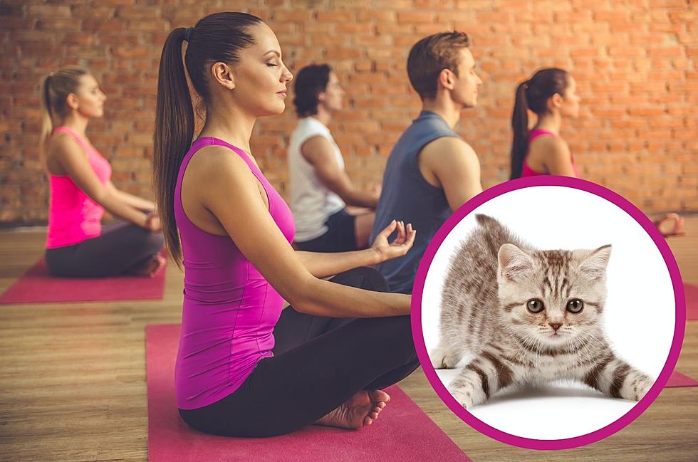 Try Yoga with Furry Friends