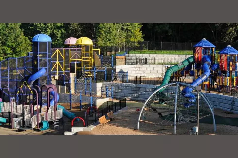 One of the Most Epic Playgrounds in Minnesota is Open for Summer