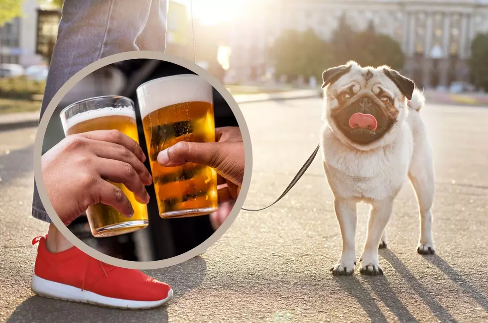 Support Minnesota Dogs in Need with Dog-Friendly Brewery Pass