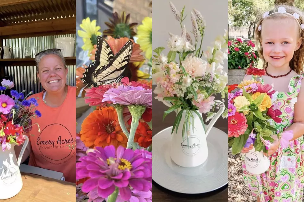 Check Out This Unique “Pick Your Own Flowers” Garden In Minnesota