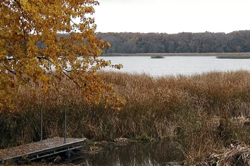 Two Chances to Help Clean Up Rice Lake State Park