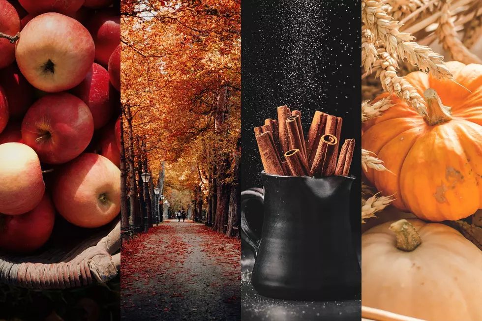 What Are The True Scents of Fall?
