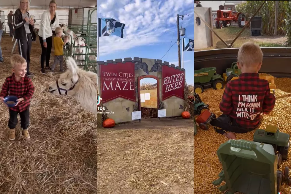 Fall Fun at Minnesota&#8217;s Twin Cities Harvest Festival and Maze