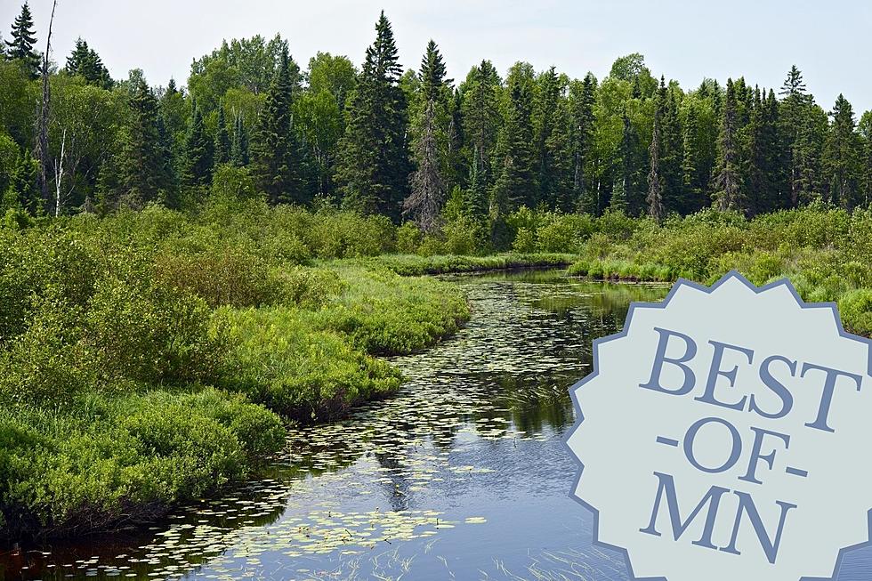 You Need To Visit Minnesota’s 9 Best State Forests Now!