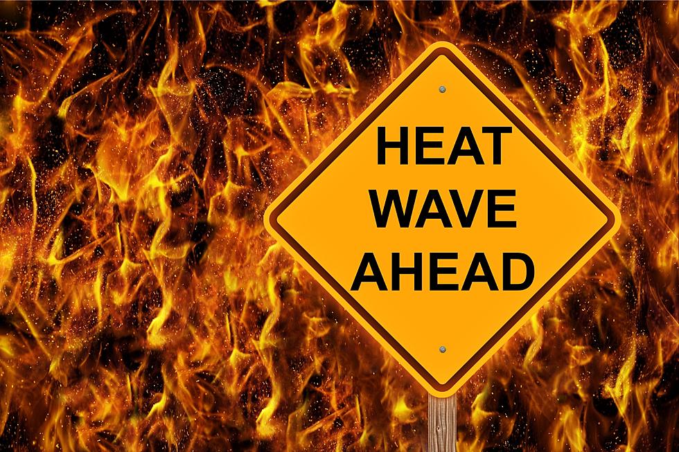 Heads Up! Heat Safety is for All of Us in Minnesota this Week