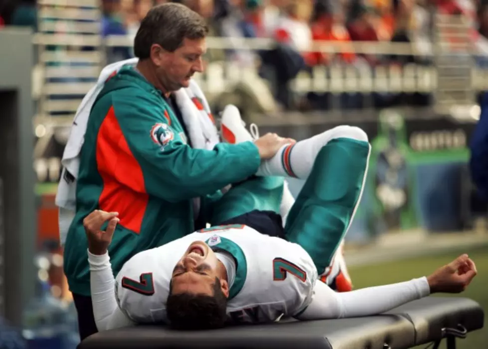 Attorney Defends Fired Dolphins Trainer