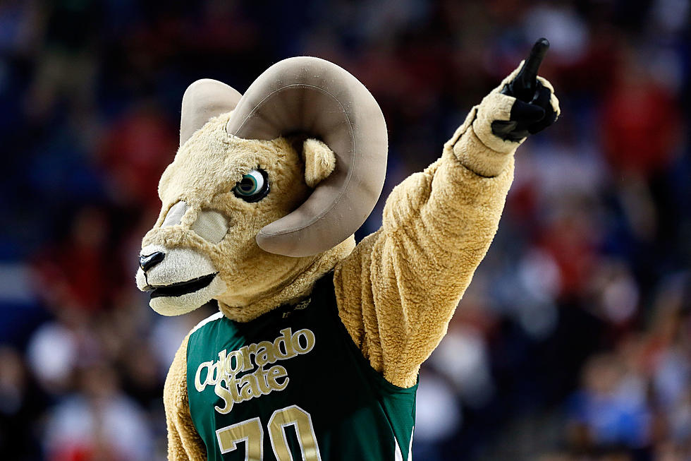 Colorado State Rams Hire New Coach