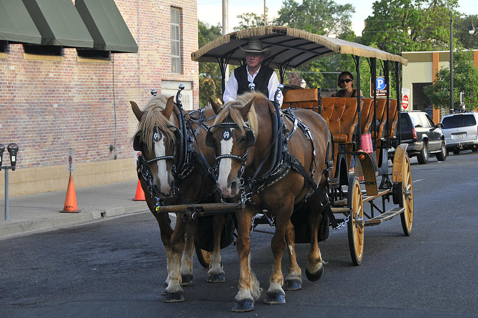 Grand Junction Downtown Merchants Want to Treat You to a Free Carriage Ride