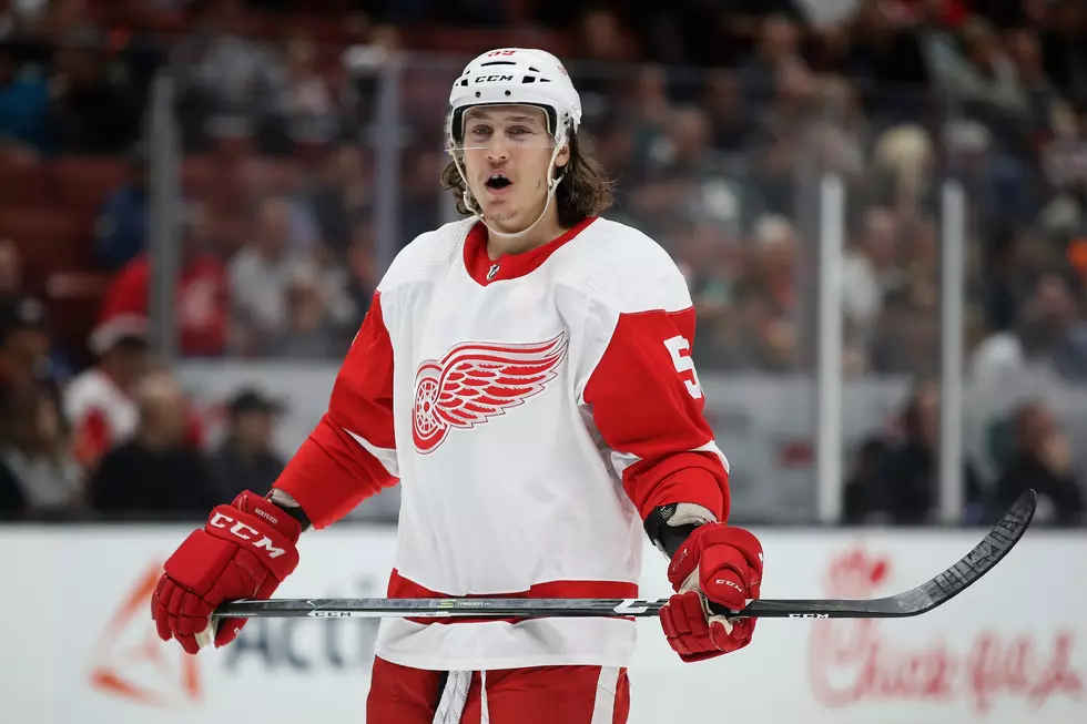 Red Wings’ Bertuzzi Suspended for Cheap Hit on Calvert