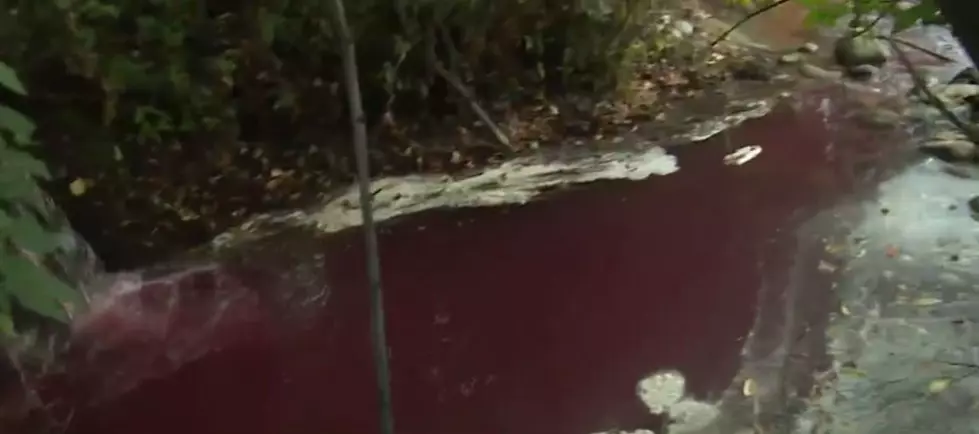 What Was the Red Stuff in the Boise River?