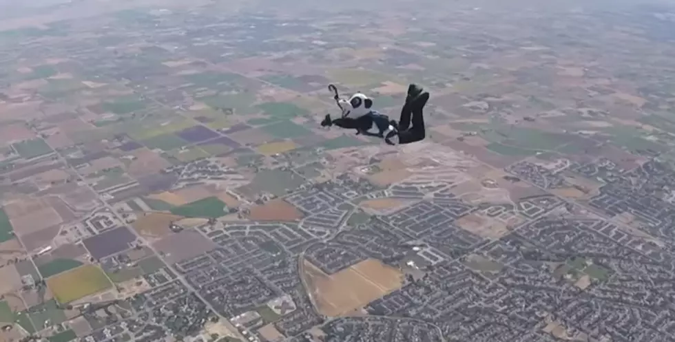 Jimmy Fallon Sends Skydiving Panda Into the Farmstead Maze [VIDEO]