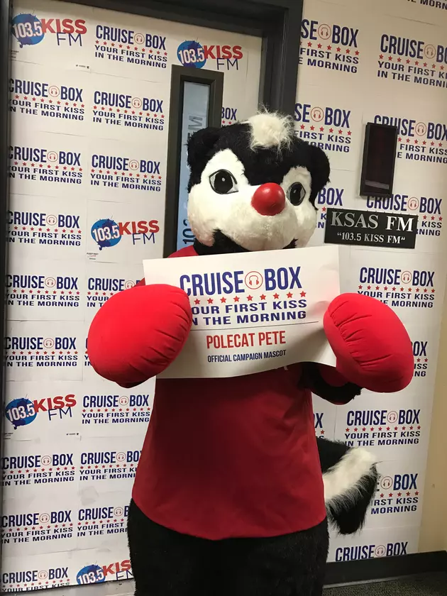 Just Announced: Polecat Pete is the Official Campaign Mascot of Cruise &#038; Box
