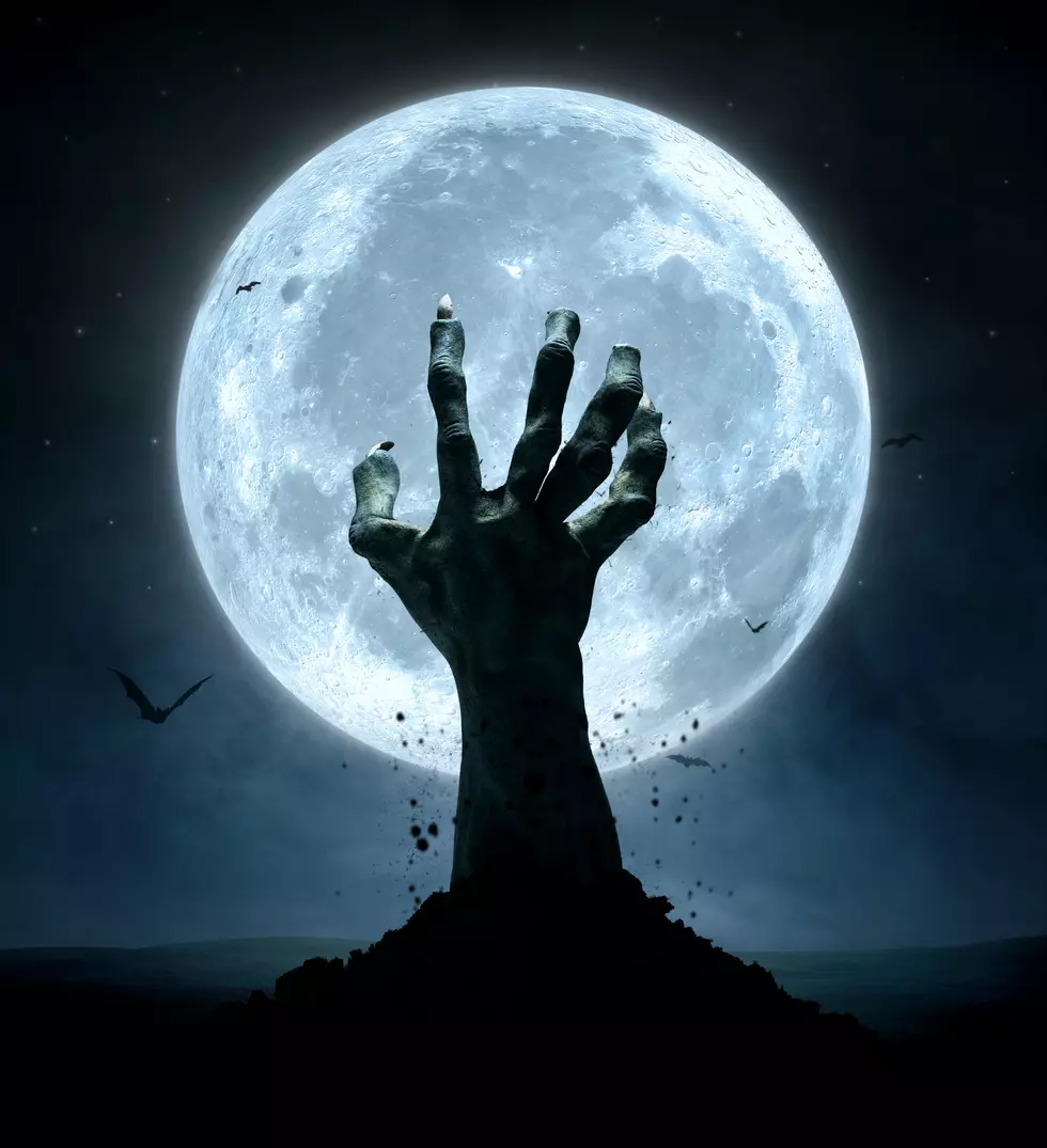Boise Bench Hosts Haunted Zombie Babyland on Halloween
