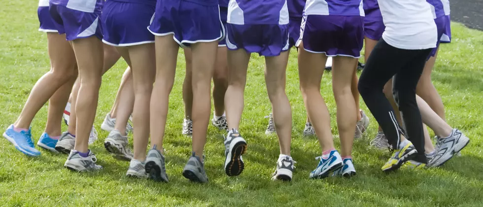Mountain View Girls Cross Country Team to Compete on National Stage