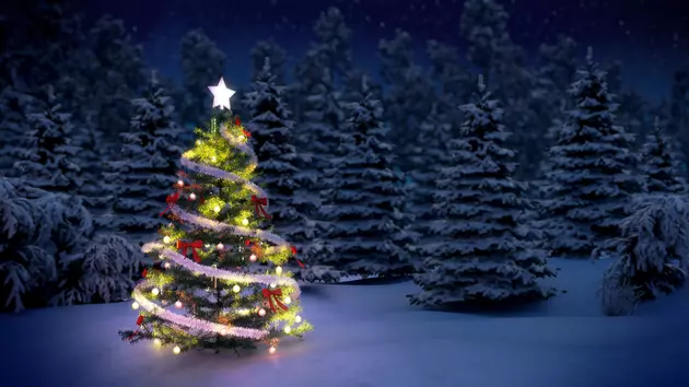 FREE Christmas Trees This Sunday